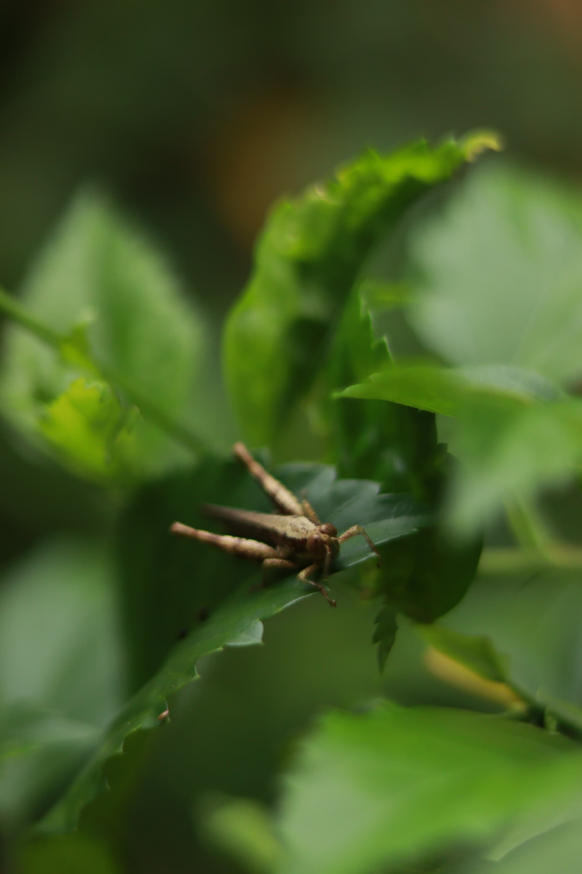 Gloomy Day — IMG 8856