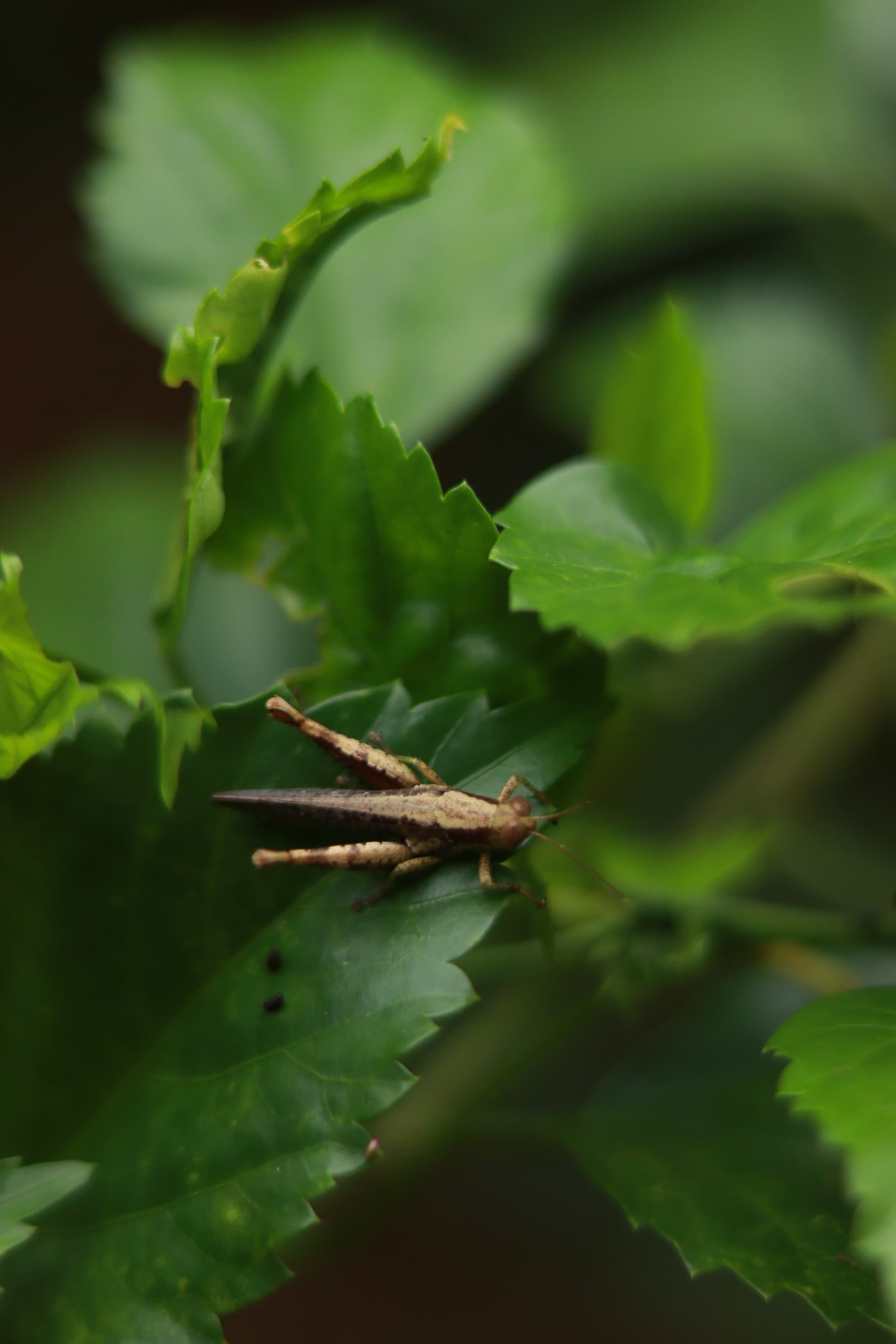 Gloomy Day — IMG 8858