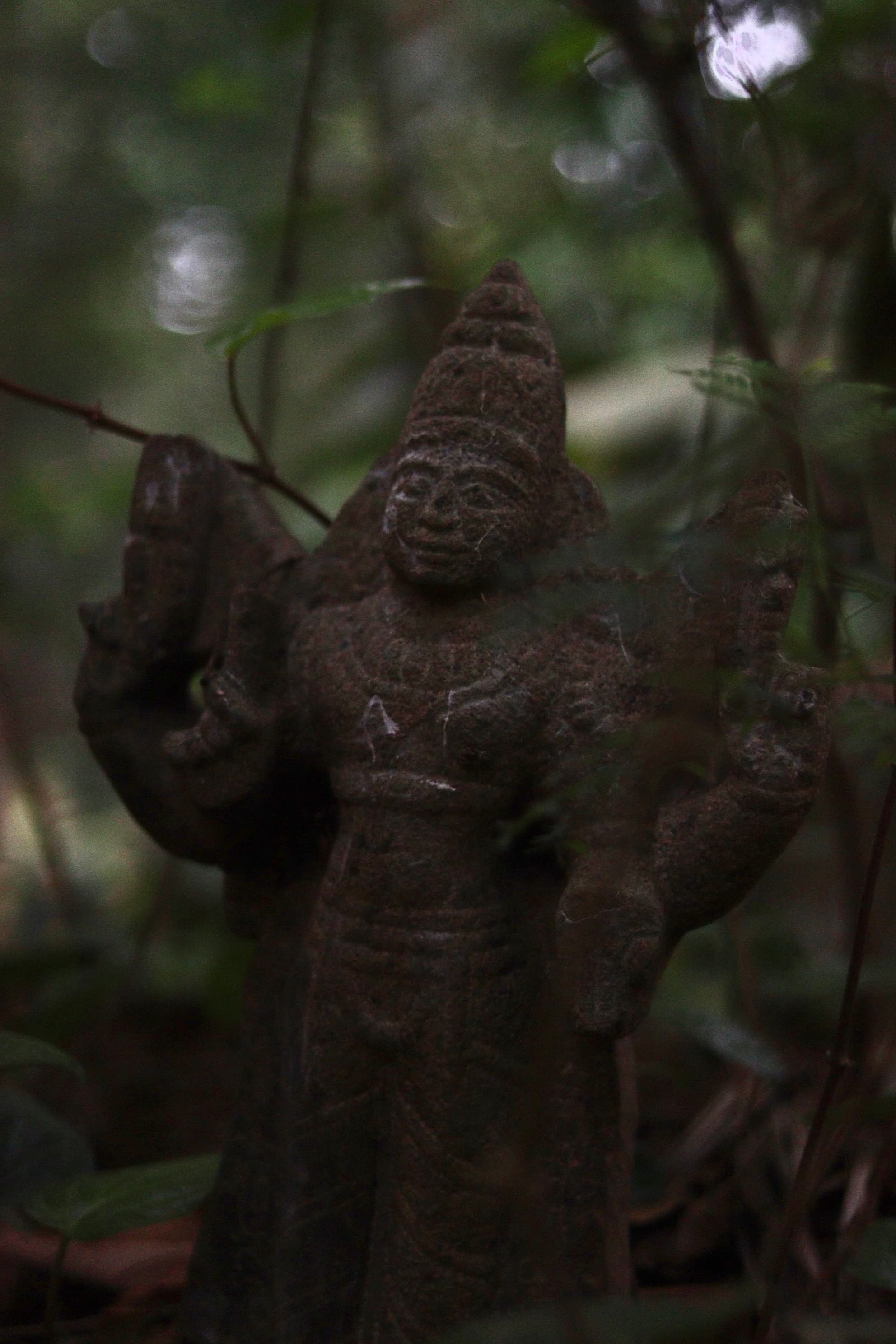 Gloomy Day — IMG 8860