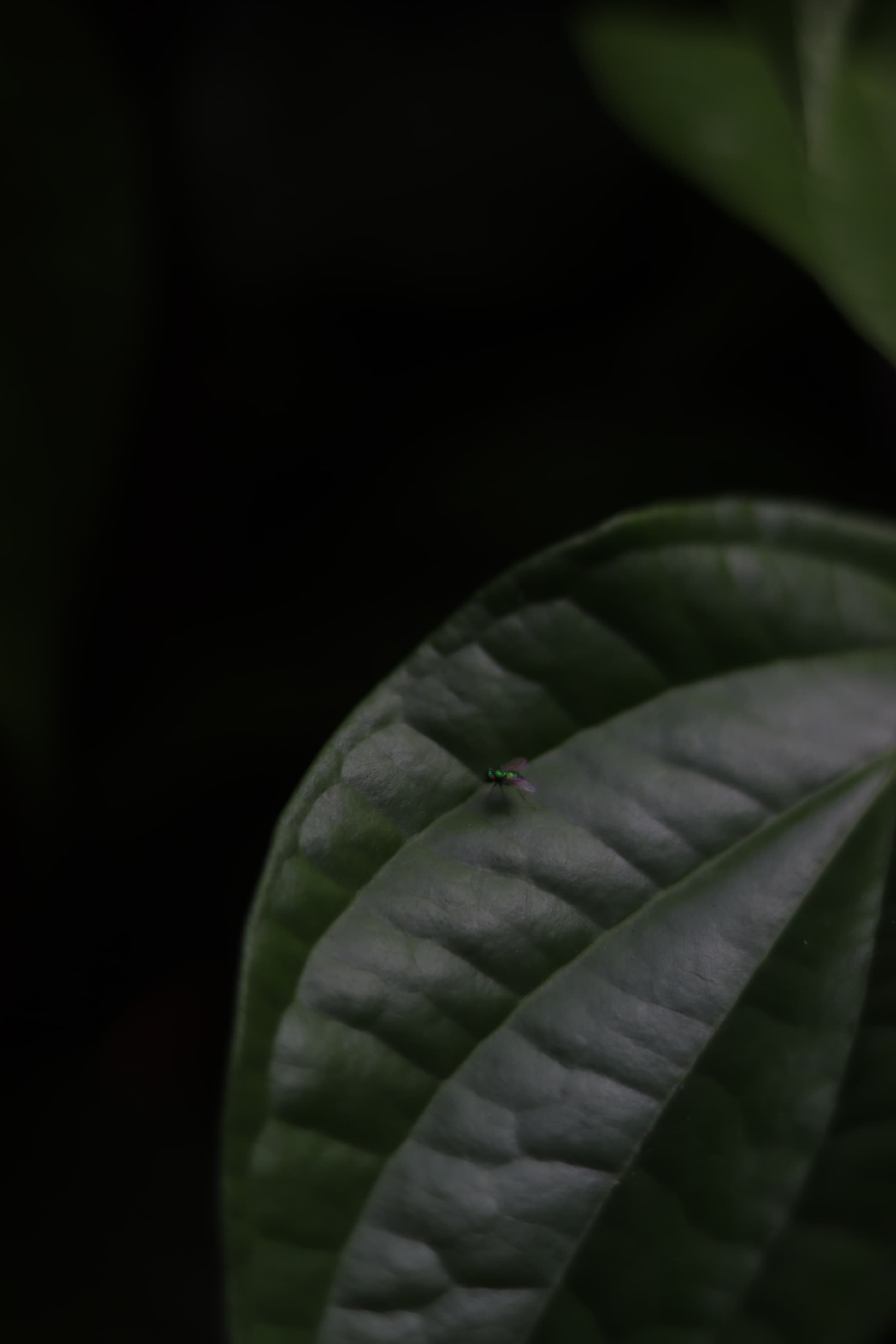 Gloomy Day — IMG 8877