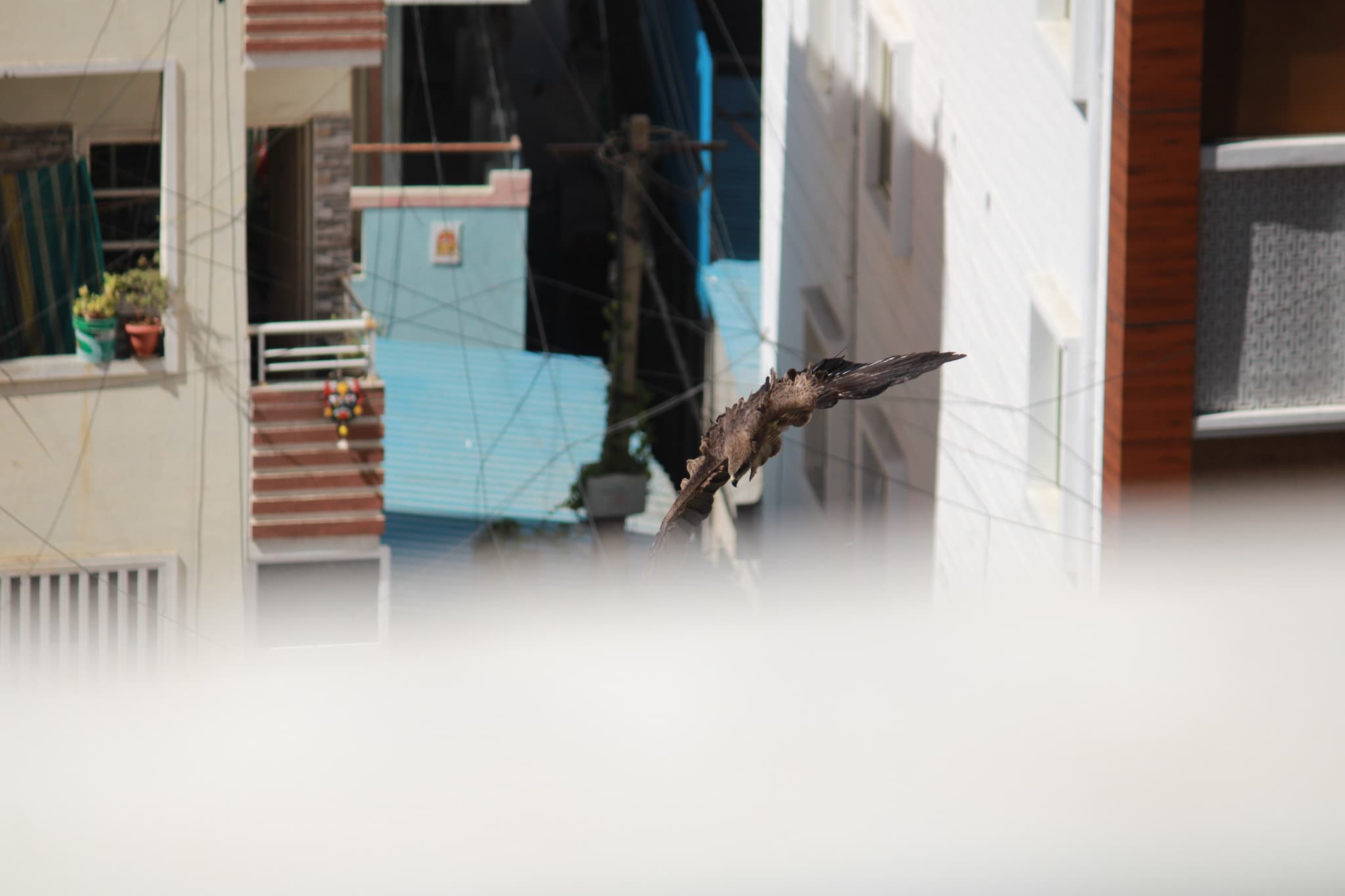 Project Black Kite — IMG 4576